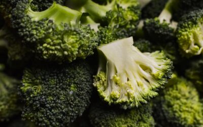 Cuisson des brocolis : méthodes, astuces et recettes